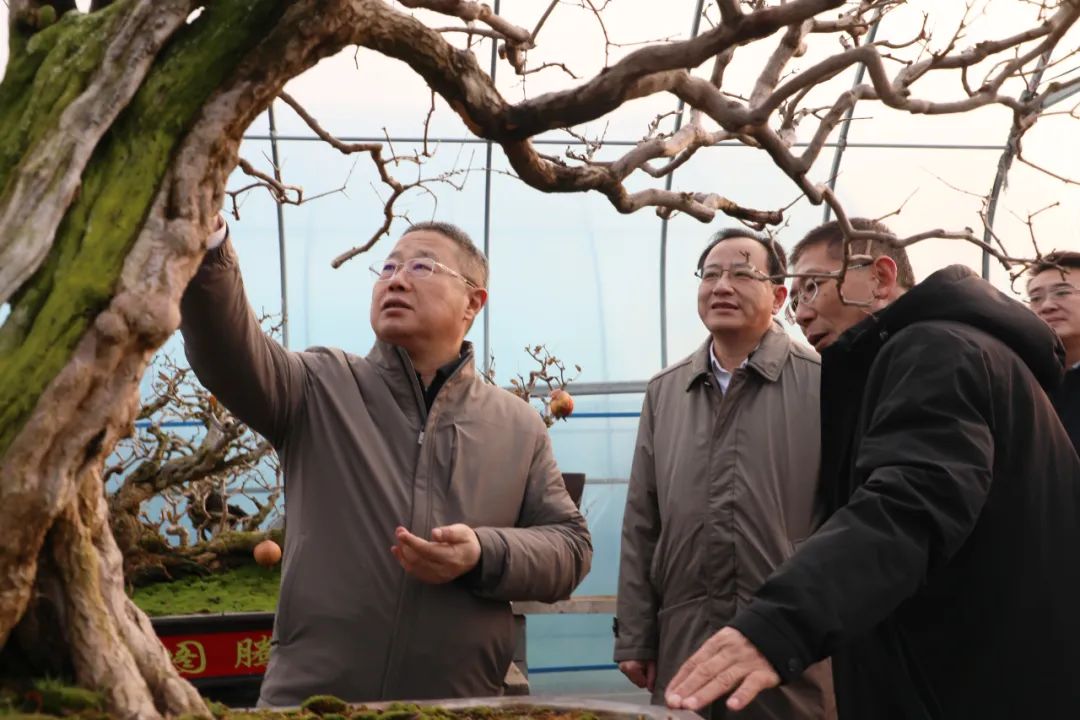 ���f��ί����ӛ������ί��ӛ�����ށ�F�ǅ^(q��)�{(di��o)��ʯ��a(ch��n)�I(y��)�l(f��)չ����